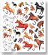 HORSE STICKERS